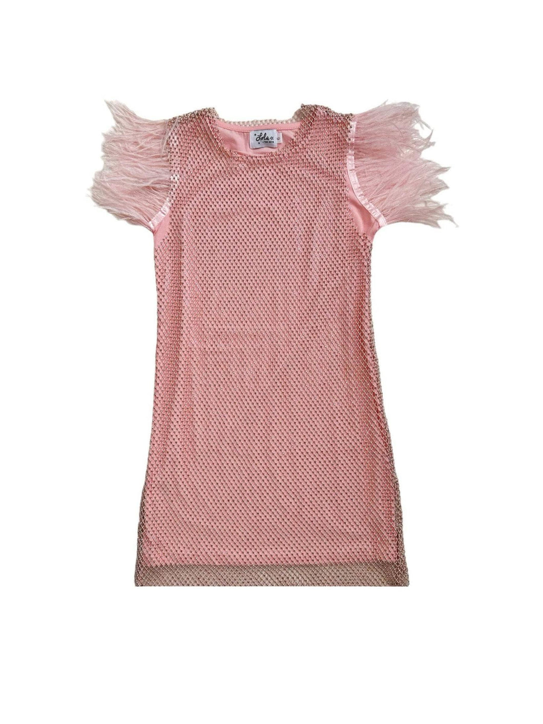 Feather Trims Sequin Dress