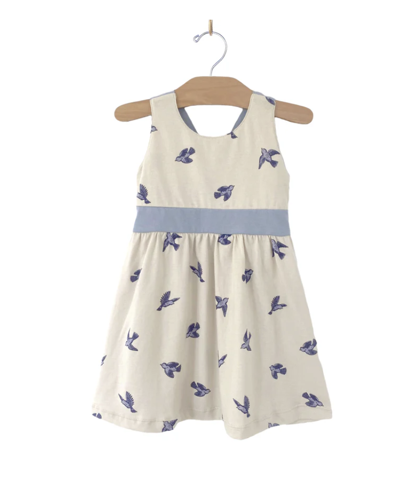 Bluebird Sundress