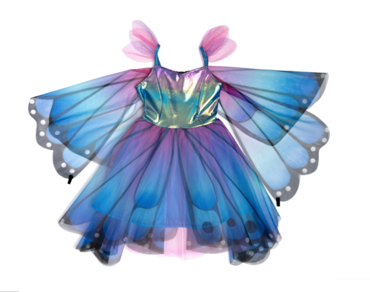 Butterfly Dress & Wings