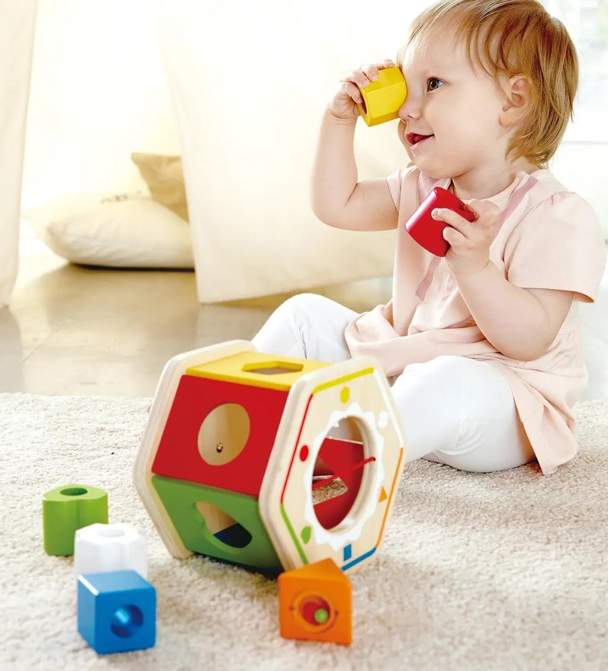 Hape Sorting Box