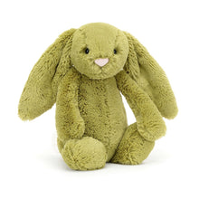 Load image into Gallery viewer, Jellycat Bashful Bunnies
