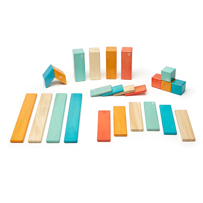 Tegu 24 Pc Set