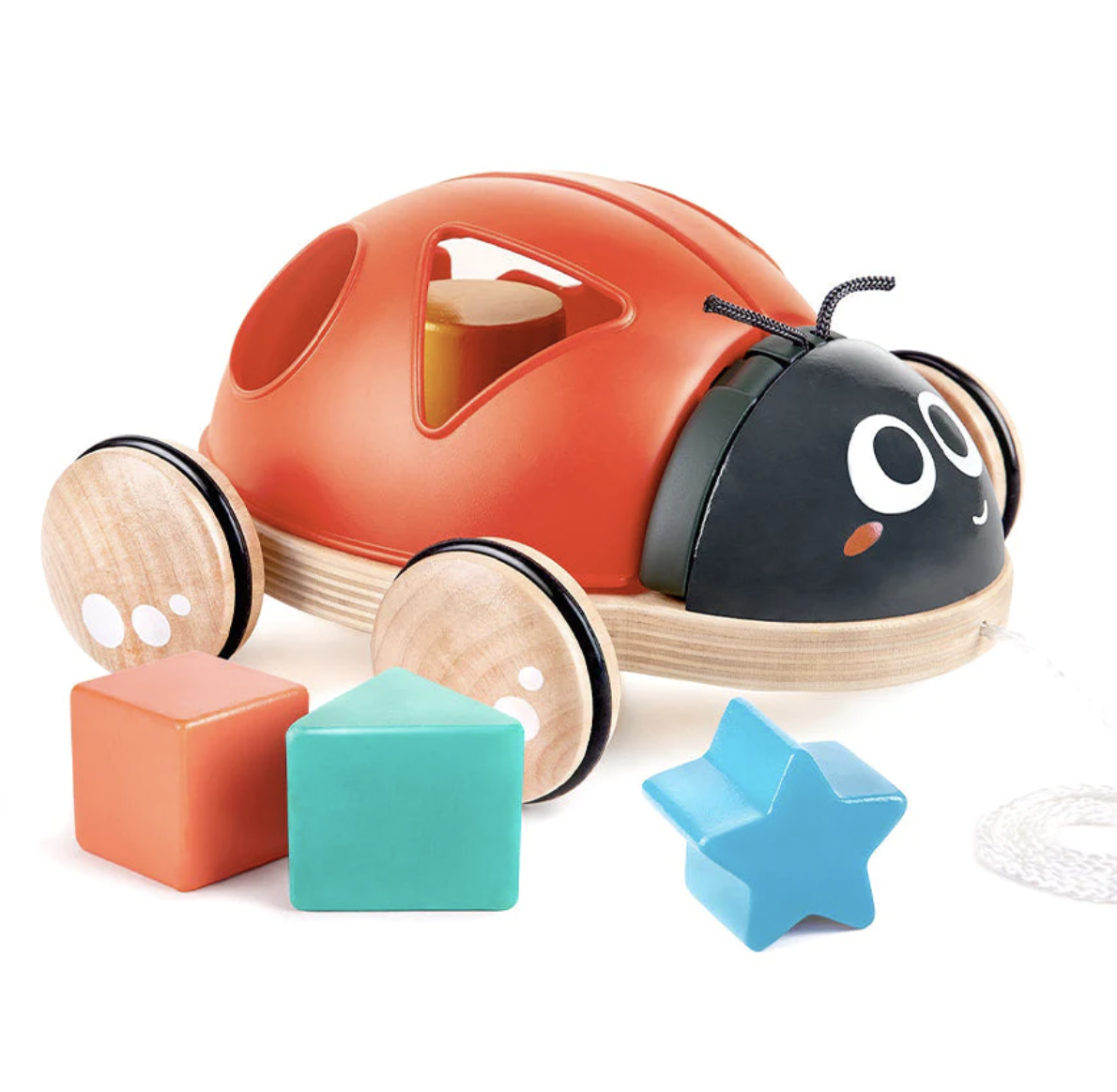 Shape-Sorter Ladybug