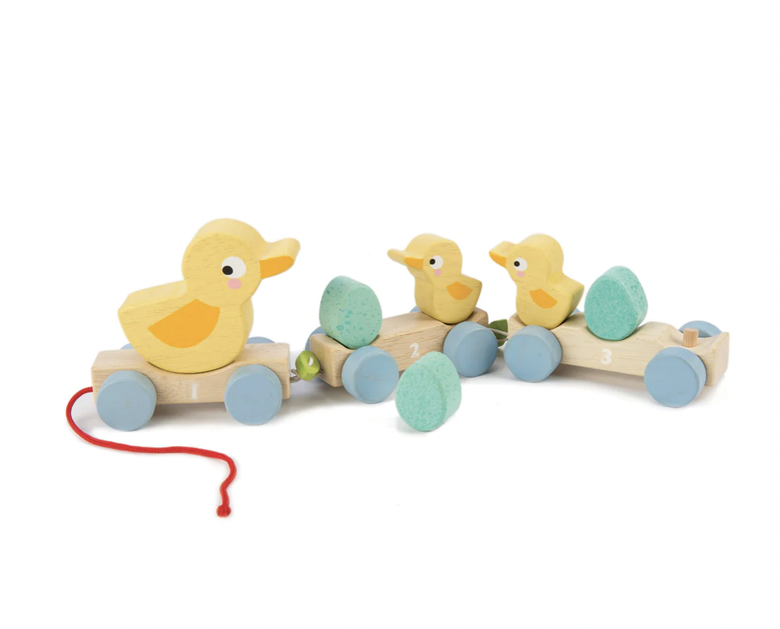 Pull Along Ducks