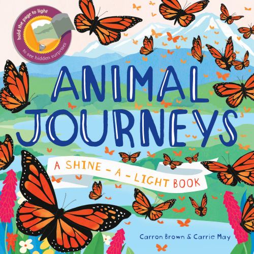 Shine-A-Light Books