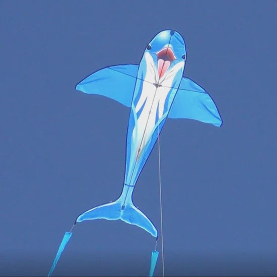 Dolphin Kite