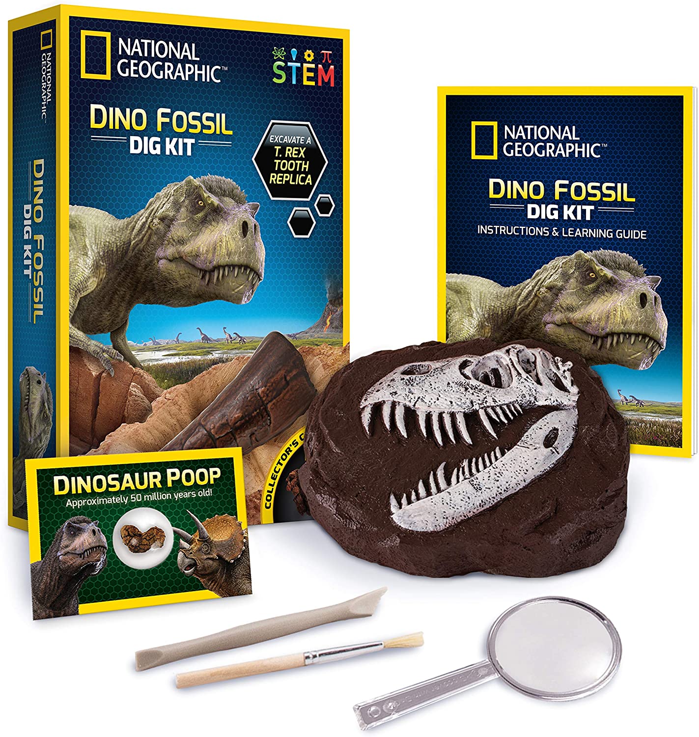 Dinosaur Fossil Dig  Kit
