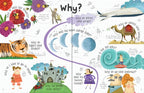Questions and Answers Books