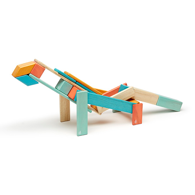 Tegu 24 Pc Set