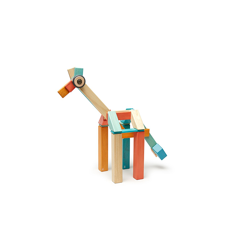Tegu 42 Piece Set
