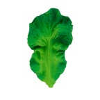 Chew Fruit and Veg