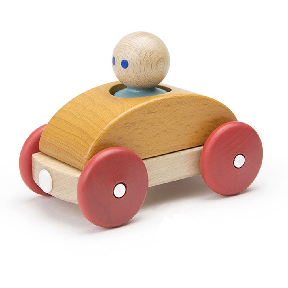 Tegu Magnetic Racers