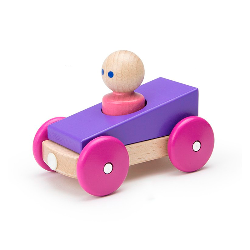 Tegu Magnetic Racers