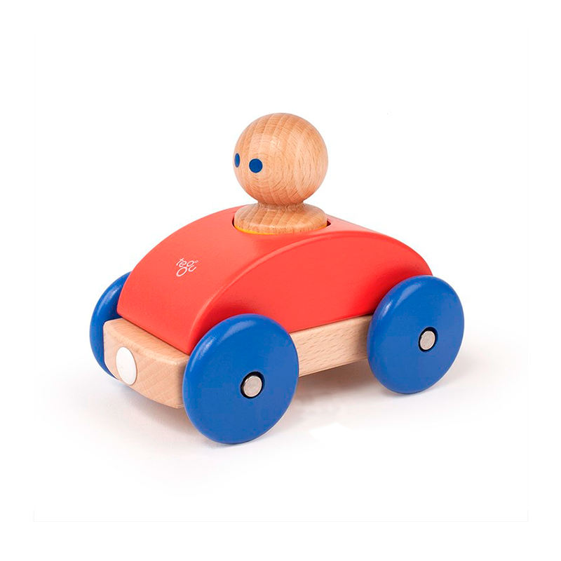 Tegu Magnetic Racers