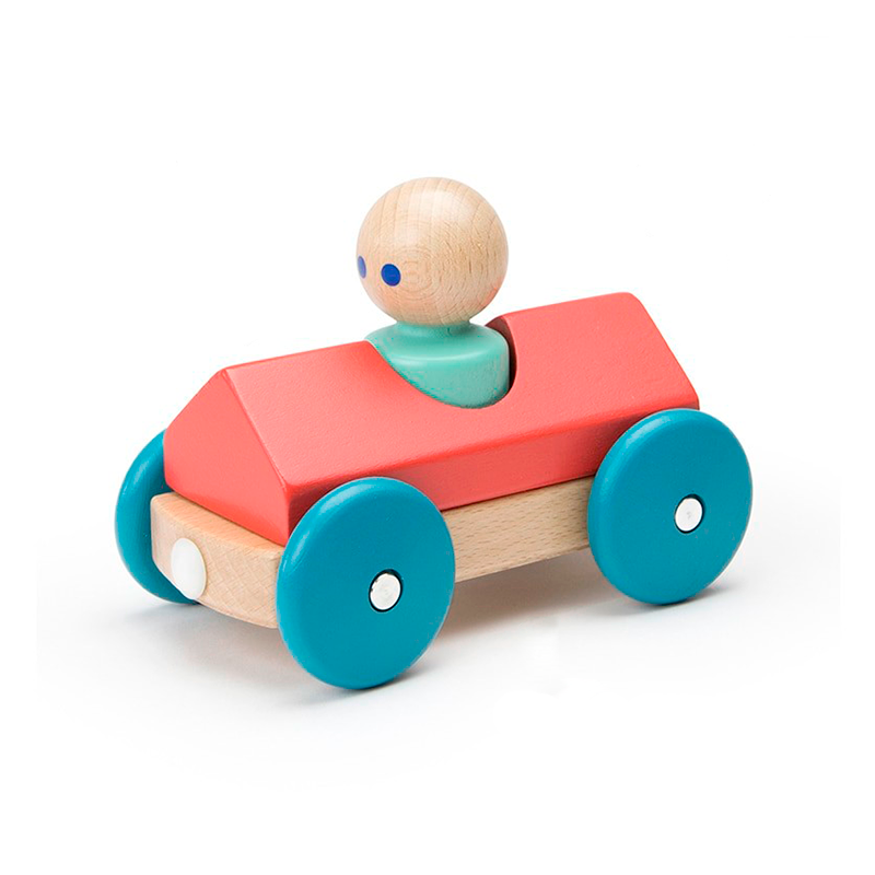 Tegu Magnetic Racers