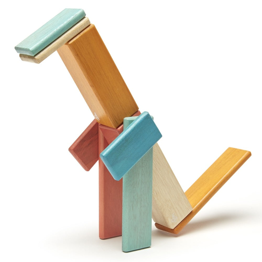 Tegu 14 Pc Set