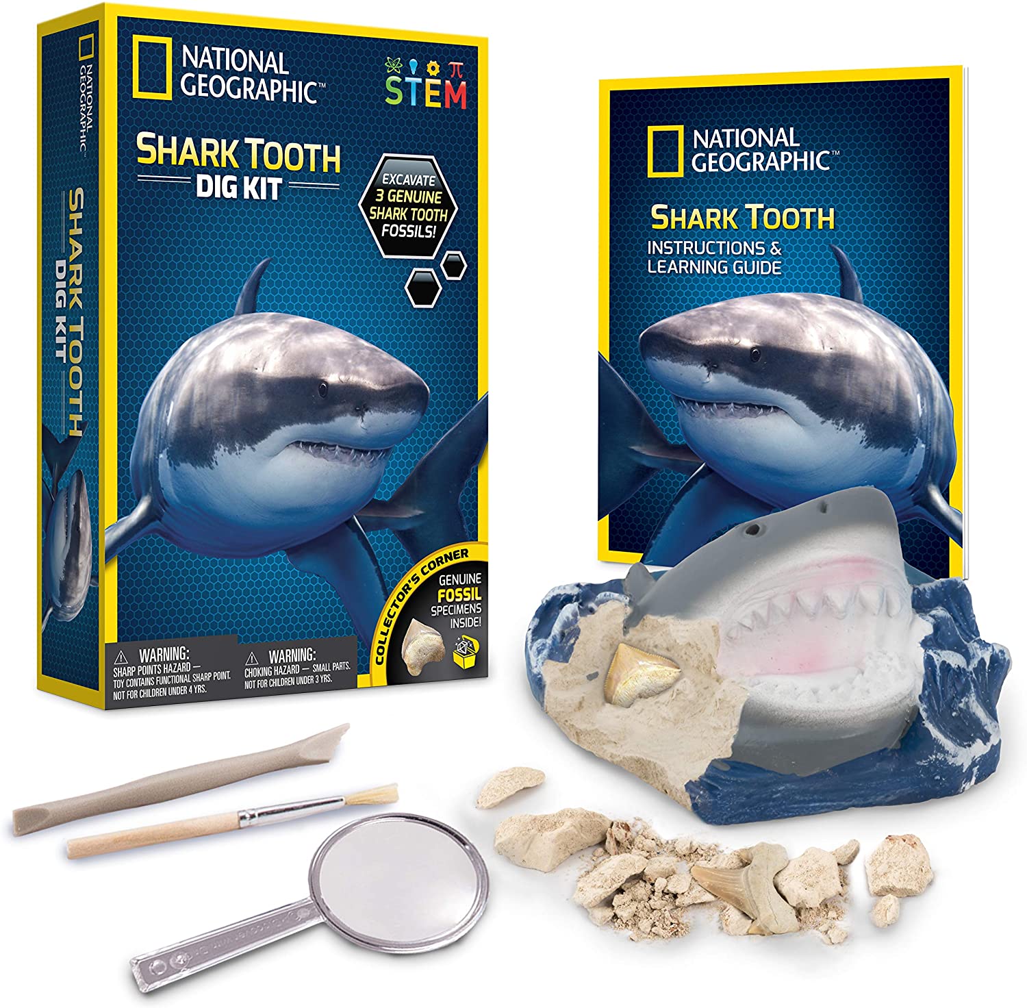 Shark Tooth Dig Kit