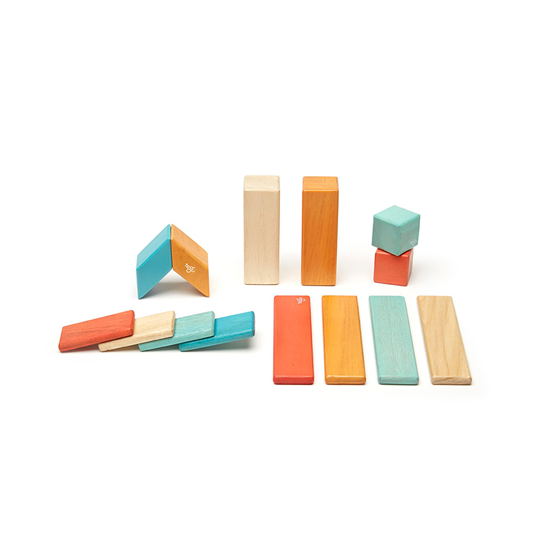 Tegu 14 Pc Set