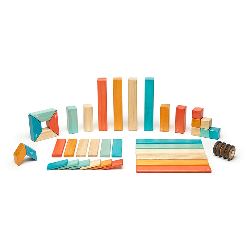 Tegu 42 Piece Set