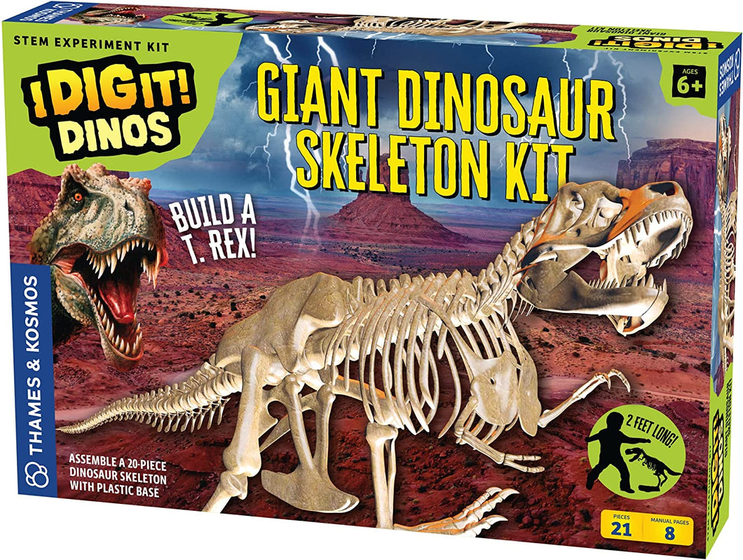 Giant Dinosaur Skeleton Kit