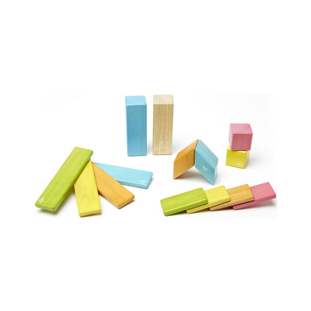 Tegu 14 Pc Set