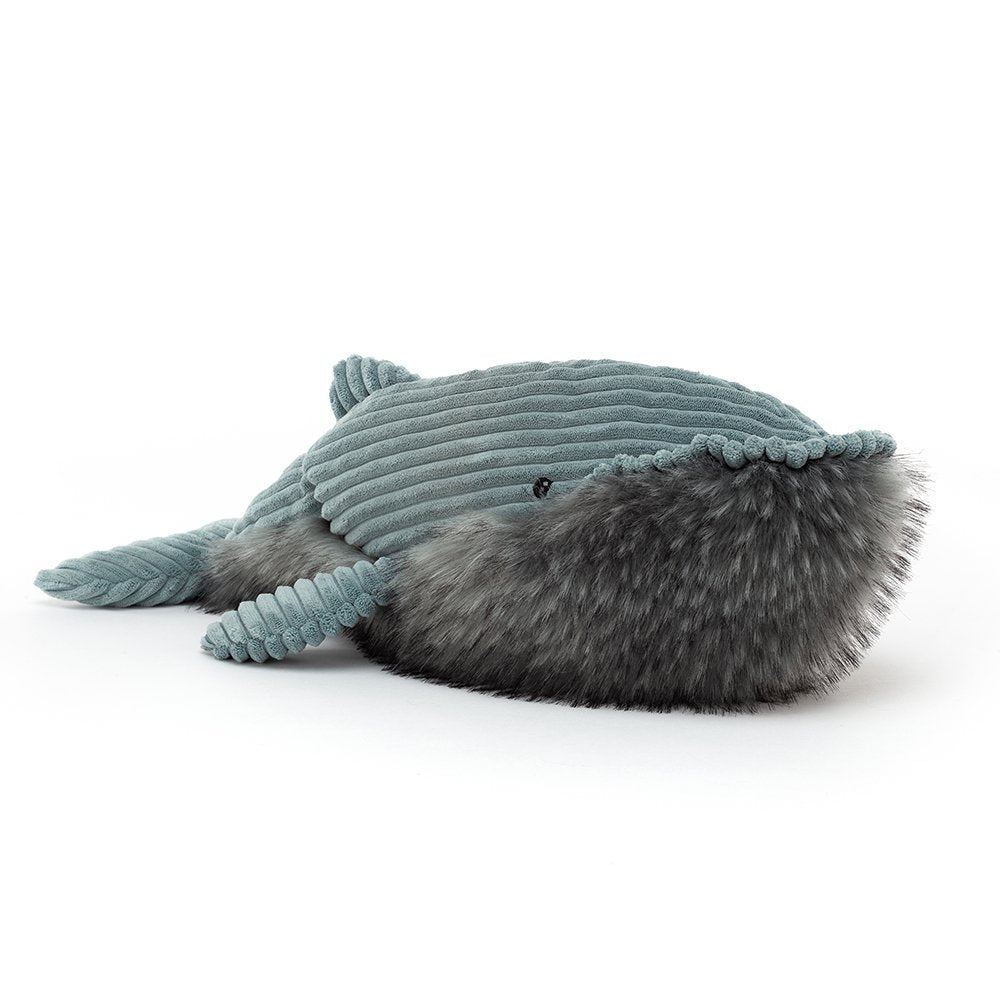Huge Wiley Whale