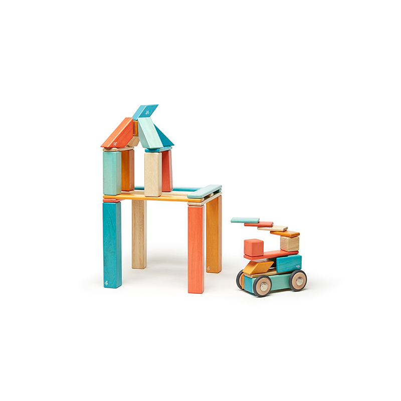 Tegu 42 Piece Set